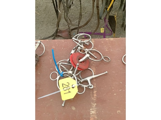 5 Horse Bits