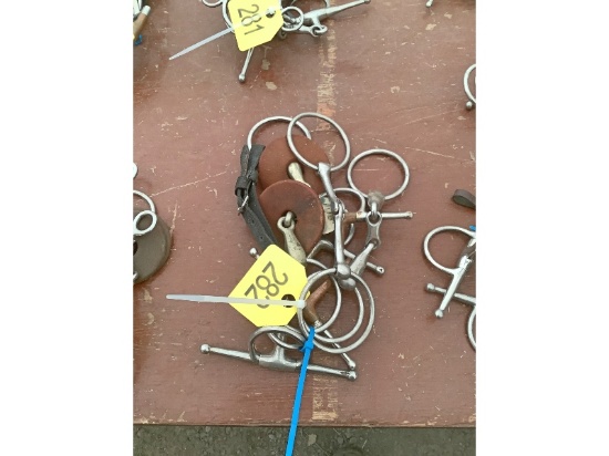 5 Horse Bits