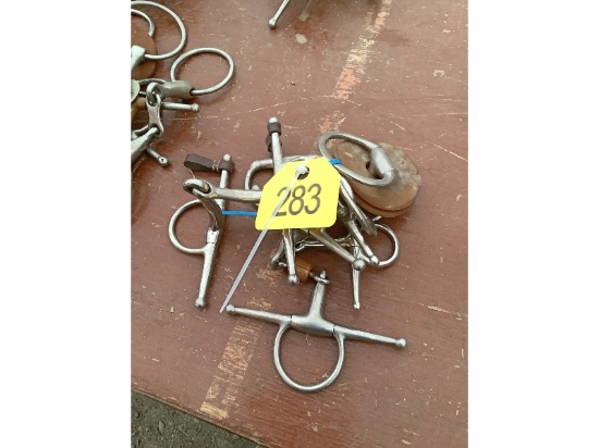 5 Horse Bits