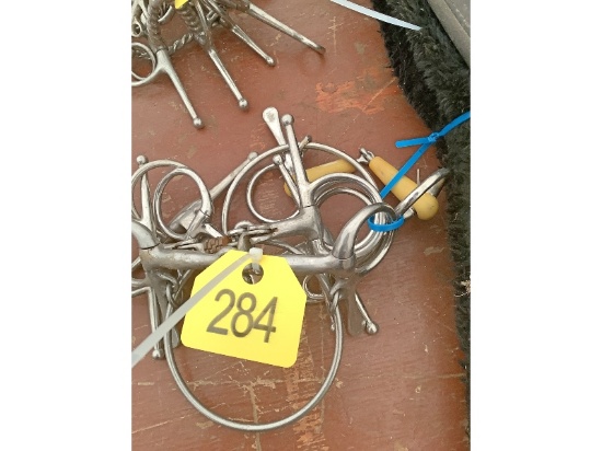 5 Horse Bits
