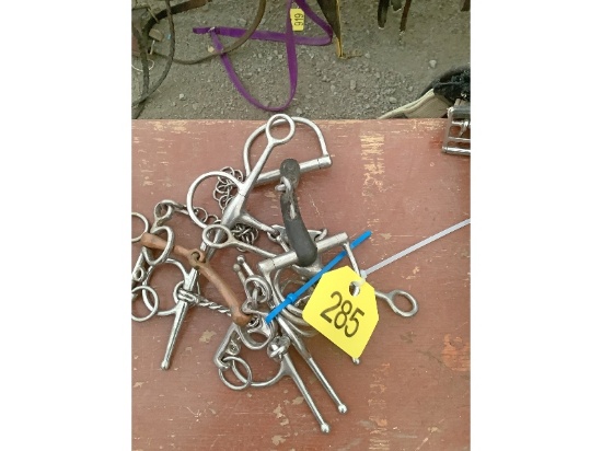 5 Horse Bits