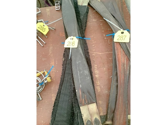5 Cinches