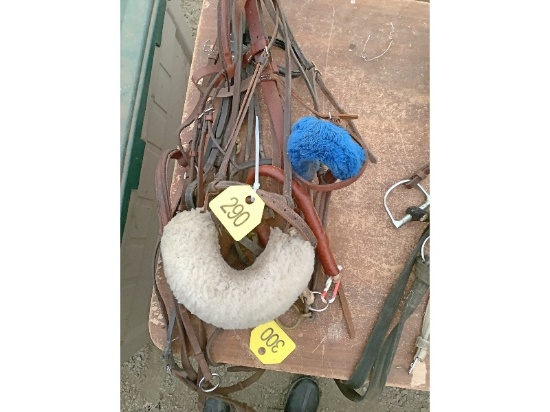 5 Bridles