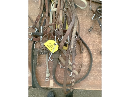 5 Bridles