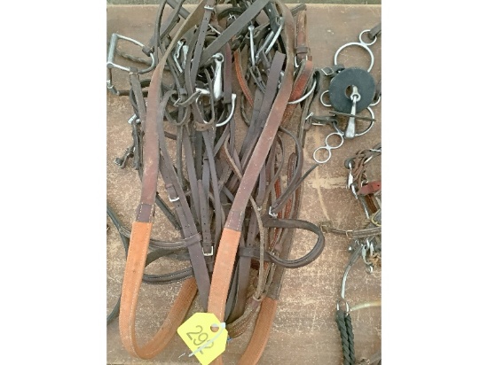5 Bridles