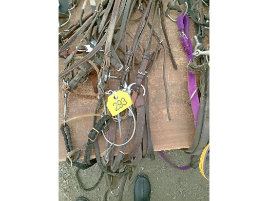 5 Bridles
