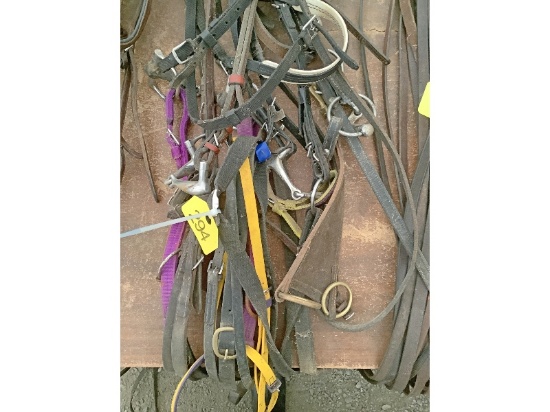 5 Bridles