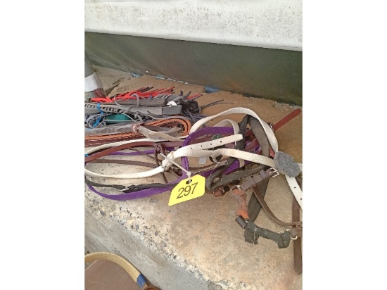 5 Halters, Etc.
