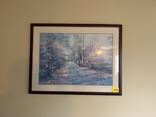 Framed Picture