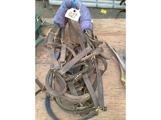 5 Halters