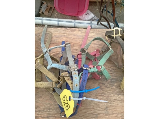 5 Halters