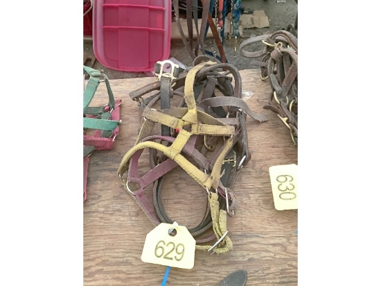 5 Halters
