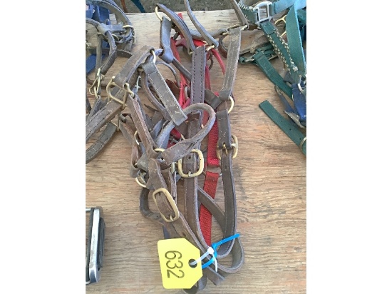 5 Halters