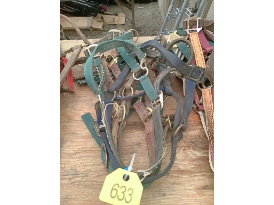 5 Halters