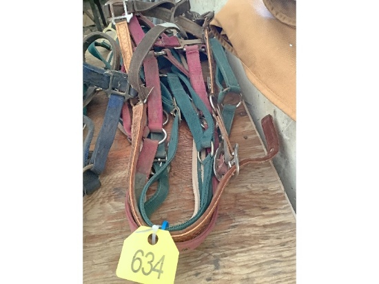 5 Halters