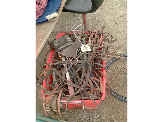 Tote of Bridles, Halters and Lead Chains