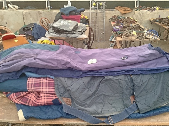Table of Assorted Horse Blankets