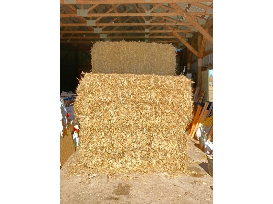 10 Big Square Bales of Wheat Straw