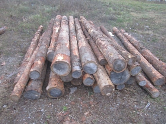 26 Posts - 12' Long