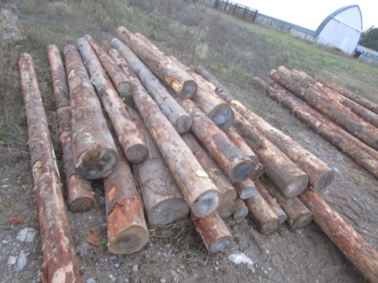 28 Posts - 12' Long