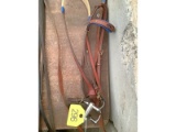 1 Show Bridle