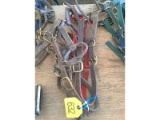 5 Halters