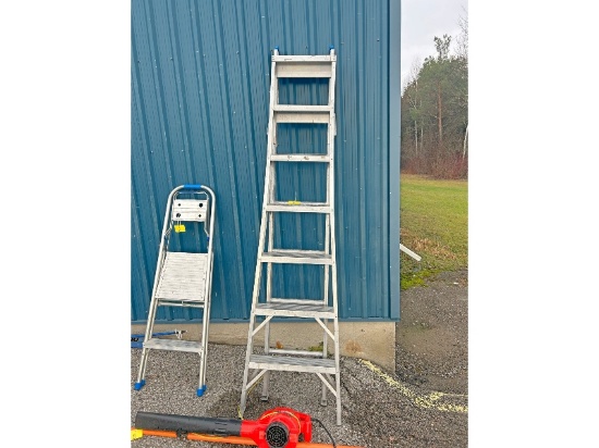 Combination Ladder