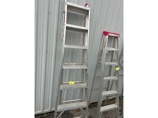 Combination Ladder