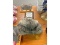 Barometer, Stone & Rabbit Hat