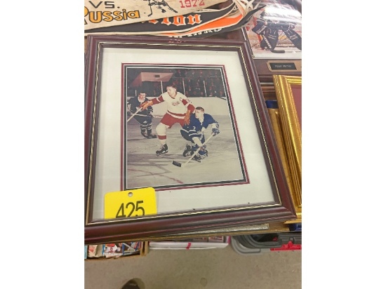 Framed Pictures