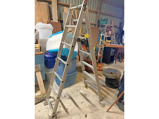 Combination Ladder