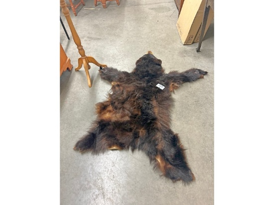 Bear Skin Rug