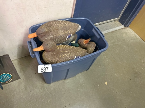 Duck Decoys