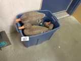 Duck Decoys