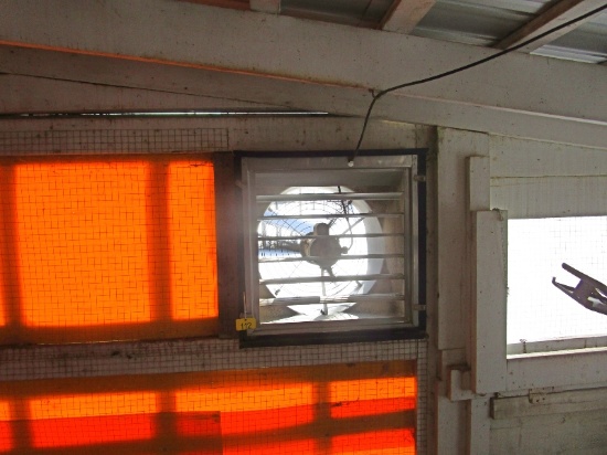 24" 240V Barn Fan