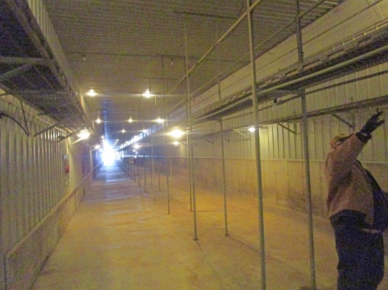 3 Runs of 2' Wide Catwalk 300' Long Sells With Steel Supports, Posts & Brackets