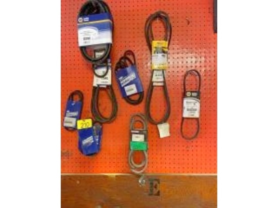 Various Belts