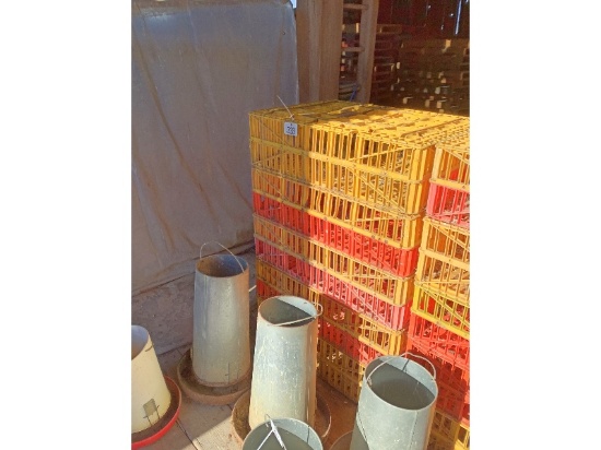 5 Chicken Crates