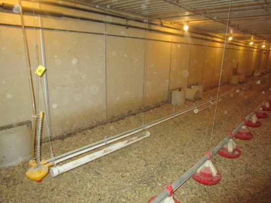50' Poultry Watering System