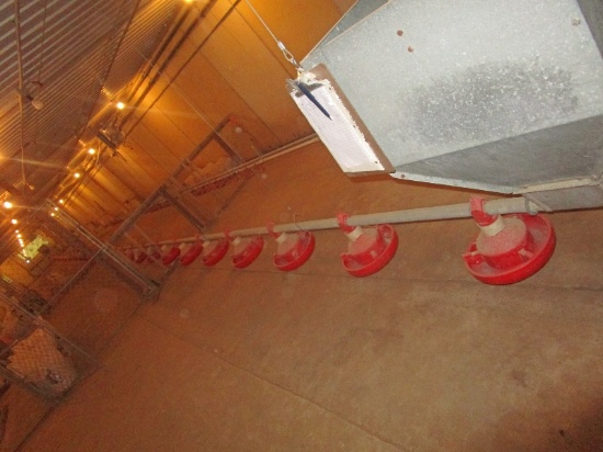 45' Chore Time Poultry Feeder With 220V Motor, Hopper, Flight & 17 Feeders