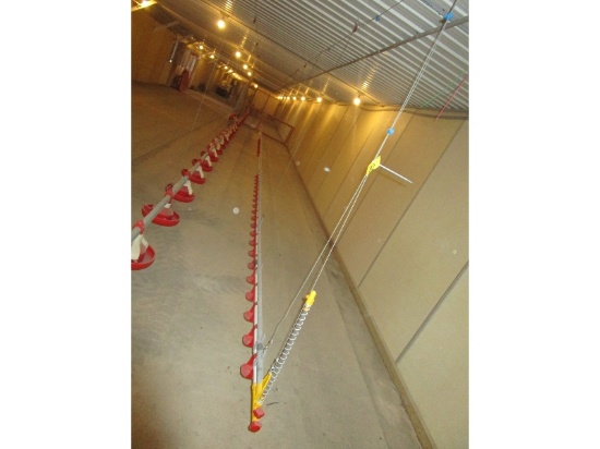 100' Poultry Watering System