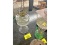 Oil Lamp