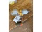 DeWalt 20V 1/2