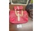 Coach Purse & Clutch