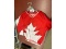 2 Team Canada Jerseys