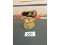 Royal Doulton Monty