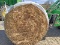 20 - 4'x5' Wrapped Bales of Soybean Straw