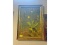 Dandelion Print