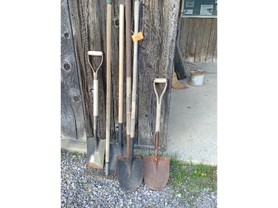 5 Shovels & Rake