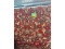 9'x12' Area Rug
